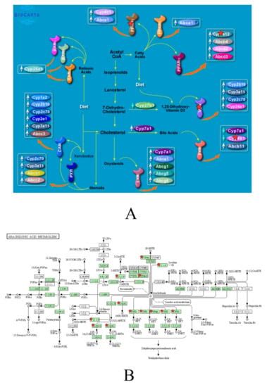 The Association between the Usage of Non-Steroidal Anti-Inflammatory ...
