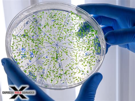 Image result for Jhon Mold Testing