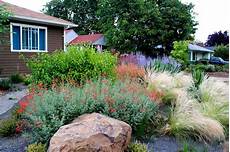 Low Water Garden by 10 No Fail Perennials For Low Water Gardens The Garden Glove Low Water Garden