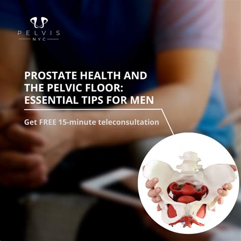 Prostate Health and the Pelvic Floor: Essential Tips for Men - Pelvis.nyc