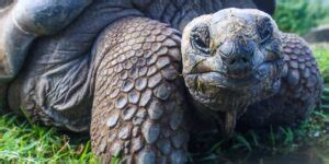 Image result for Local SQL Very Slow