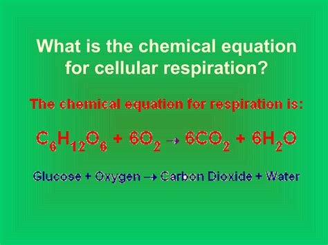 Photosynthesis and Cellular Respiration | PPT