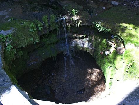 Image result for Sinking Spring Farm Map