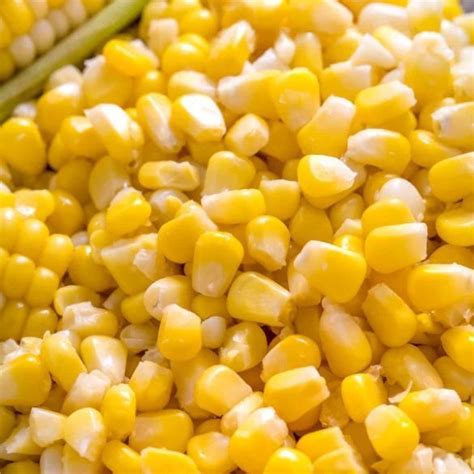 Frozen Sweet Corn Manufacturer, Supplier from Delhi