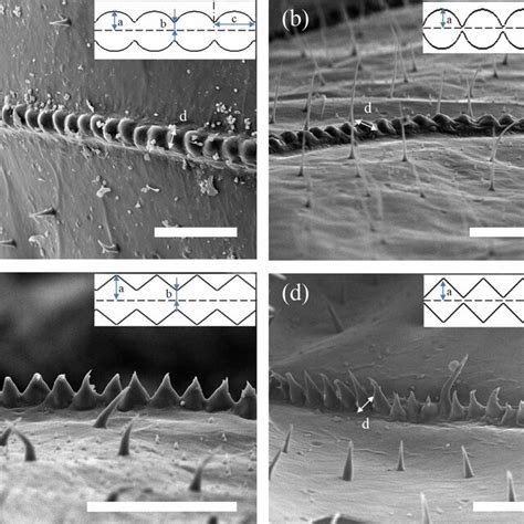 Image result for Multi Dynamic Vena Modeling