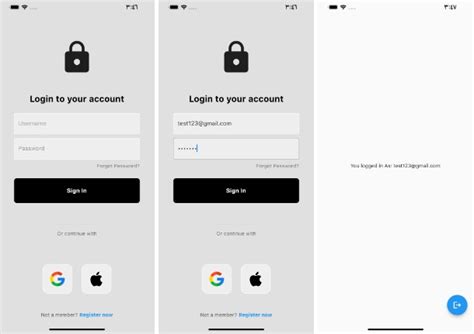 Flutter Firebase Authentication 的图像结果
