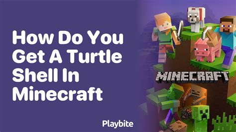 Image result for How to Craft a Turtle Shell in Minecraft
