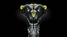 Black Mamba Wallpaper Iphone by Black Mamba Wallpapers Wallpaper Cave Black Mamba Wallpaper Iphone