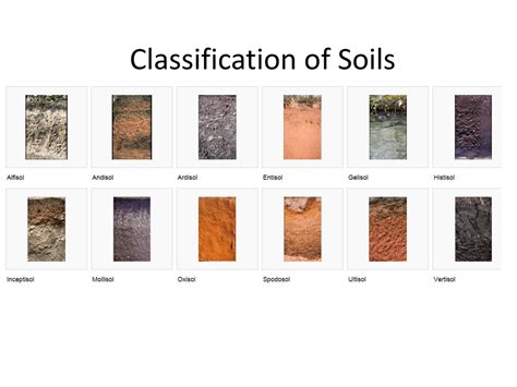 Soil Type Classification 的图像结果