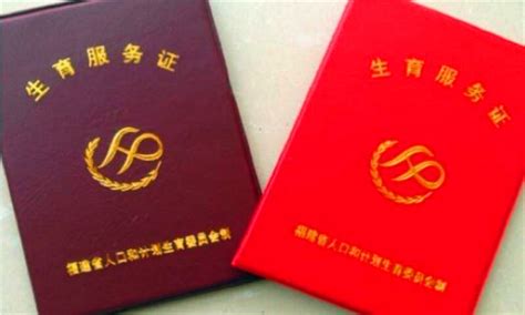 幼升小必须办理！这个证件是上海小学生唯一凭证！登记、补卡攻略全在这里了！_照片
