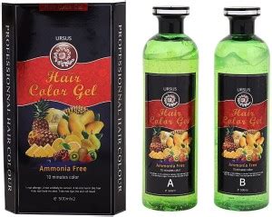Ursus Fruit Vinegar Hair Gel Black Color Dye for Hair Care (500ml x 2 ...