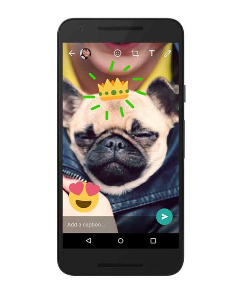 Inilah Fitur Kamera Terbaru WhatsApp | ArenaLTE.com