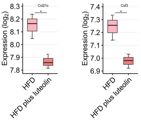 Immunopharmacological Activities of Luteolin in Chronic Diseases