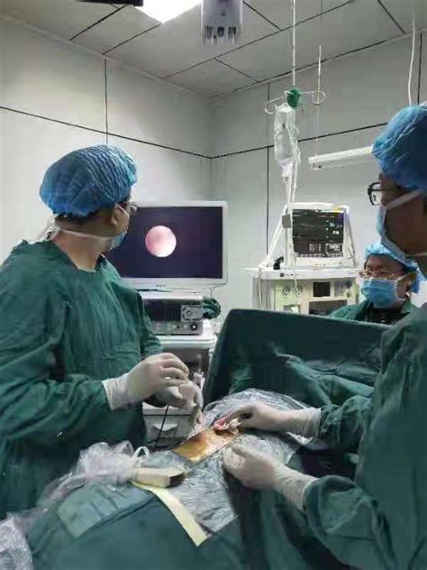 呼和浩特市首例“可视经皮肾穿刺置管引流术”在内蒙古中医医院实施-内蒙古自治区中医医院