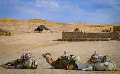 Agafay Desert: Everything You Need Before Visiting