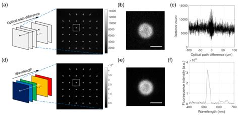 Hyperspectral Three-Dimensional Fluorescence Imaging Using Snapshot ...
