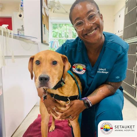 PetVet Care Centers on LinkedIn: #vetmed #petvet