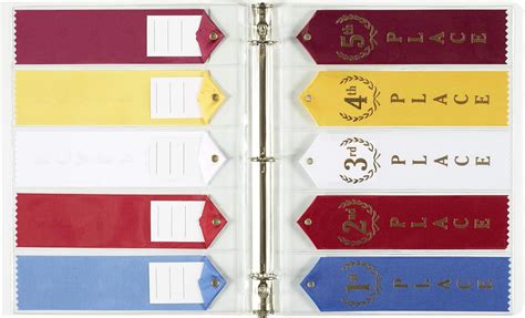 Buy Mercurydean Track and Field Gift Award Ribbon Holder Binder ...