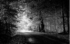 Black And White Thanksgiving Wallpaper by Black And White Nature Wallpapers Wallpaper Cave Black And White Thanksgiving Wallpaper