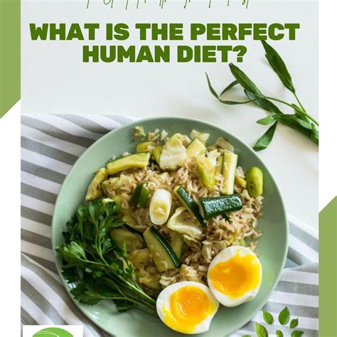 What is the Perfect Human Diet? - Orchard Park Public Library Presents ...