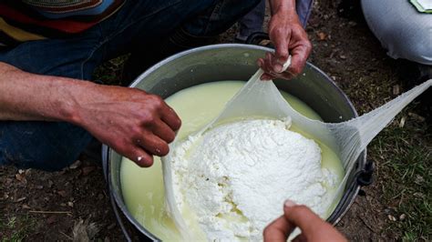 Image result for Exploding Cyst Cheese