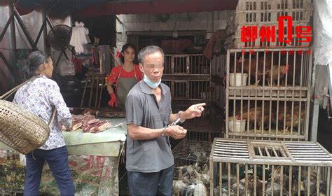 青云菜市一鸡笼凌晨少了12只鸡！公共视频拍下…-桂林生活网新闻中心