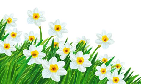 Free Transparent Spring Cliparts, Download Free Transparent Spring ...