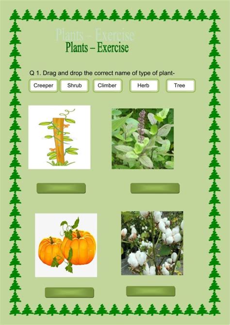 Image result for Class 2 Science Plant