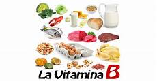vitamina b in quali alimenti a cosa servono le vitamine gruppo b zea universe vitamina b in quali alimenti a cosa servono le vitamine gruppo b zea universe