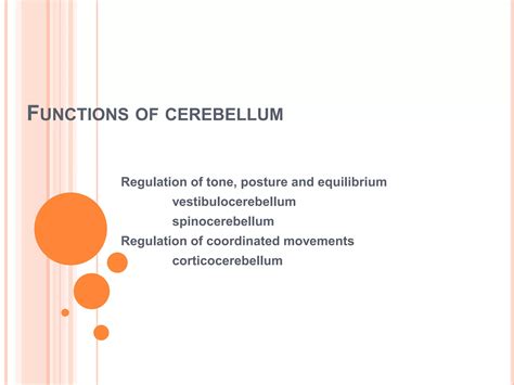 Cerebellum | PPTX