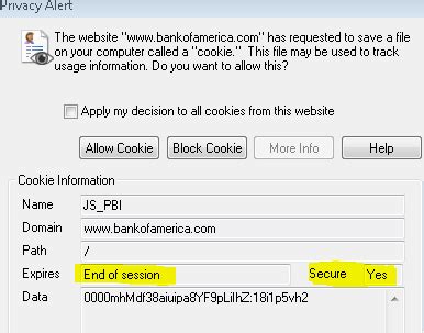 Image result for Computer Cookies Example