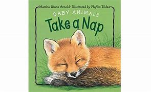 Image result for Napping Animals