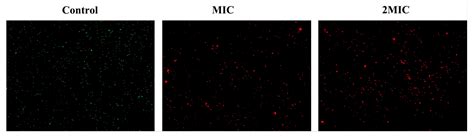 Foodborne Staphylococcus Aureus