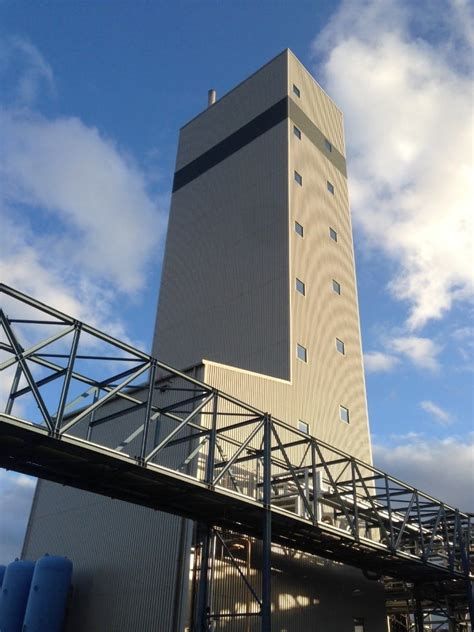 Fungi-based protein mycoprotein for sustainable food production