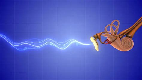 Image result for Ear Sound