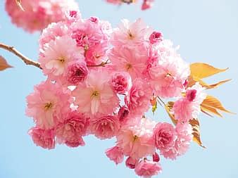 Image result for HTML Format for Text Generation