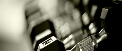 Image result for Gym Master Tutorials