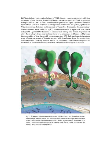 Optics Express Algorithm Template 的图像结果