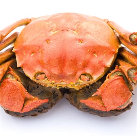 How To Boil Jonah Crab