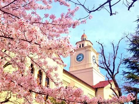日本留学申请条件详解：2023年最新日本留学申请指南