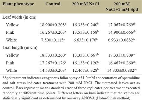 Insights into the impact of spermidine in reducing salinity stress in ...