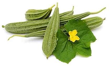 KANAYA Dhari Tori Seed Price in India - Buy KANAYA Dhari Tori Seed ...