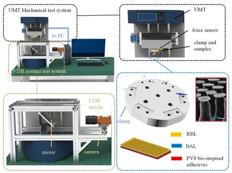Biomimetics | Special Issue : Biological Adhesives: From Biology to ...