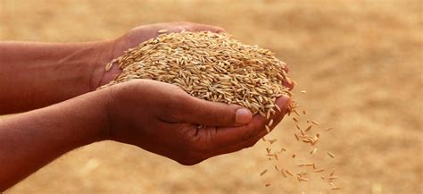 West Bengal Gramin Bank