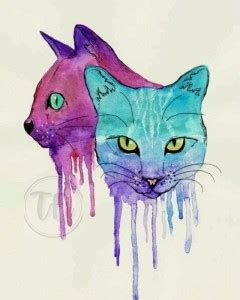 Cat Posters, Kitten Poster | Unframed |With Self Adhesive Tape | HD ...