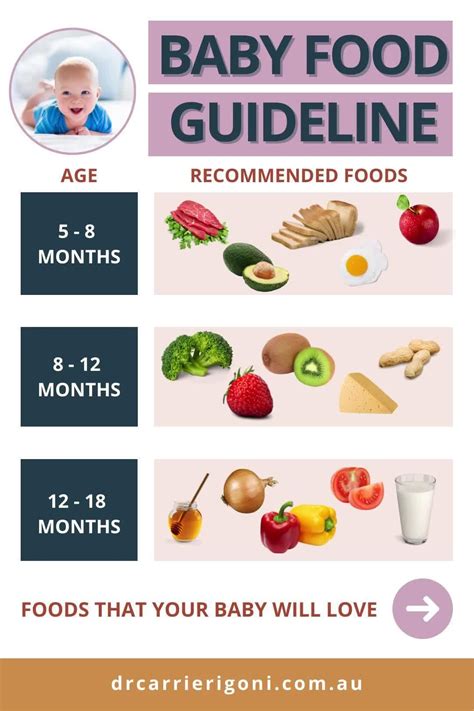 Guide to baby food stages – Artofit