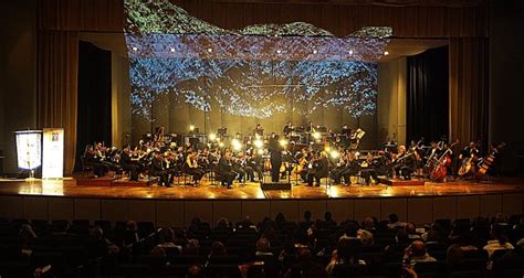 Image result for Concert Video Mapping