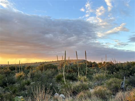 Some photos from the New Mexican Desert : r/redscarepod