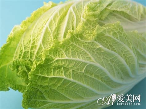 大白菜放置时间长到底能不能吃，看完之后真相自知-原创信息-食品代理网