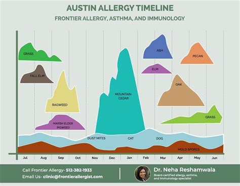 Allergy Index Austin at Asha Vang blog
